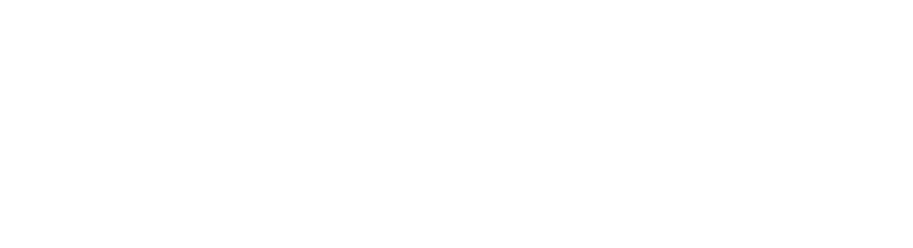 Spa Digital Marketing Agency